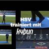 HSV and the kybun mat